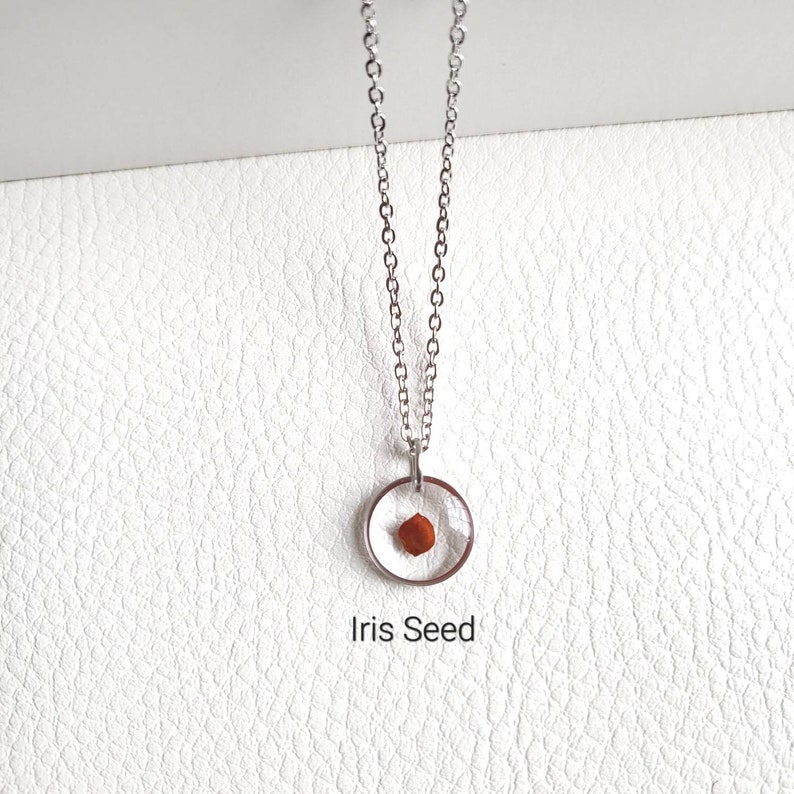May include: A silver chain necklace with a round pendant containing a small, brown iris seed. The pendant is clear and the seed is visible inside. The text "Iris Seed" is printed below the pendant.