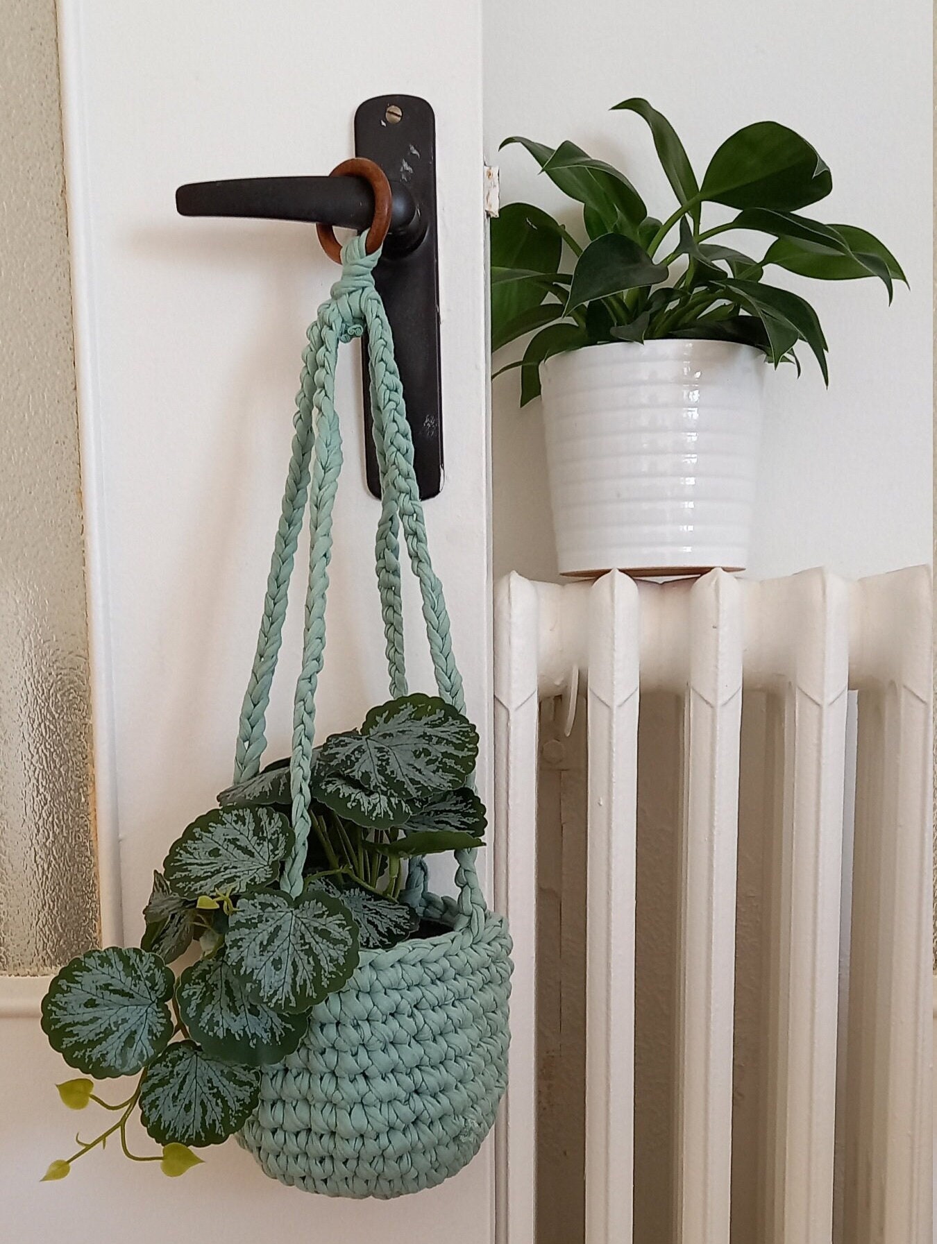 Crochet dé suspension plante -  France