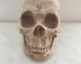 Marble skull head