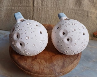 Ceramic Ocarina instrument handmade magical flute