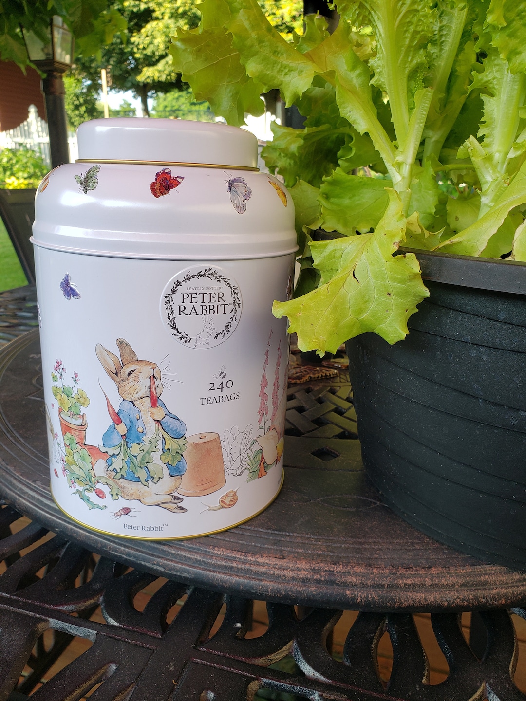 PETER RABBIT Tea Tin Etsy