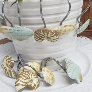 Ganchos de ducha con forma de conchas marinas