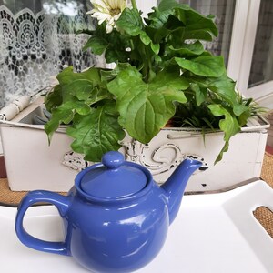May include: A blue ceramic teapot with a white lid sits on a white tray with a silver trim. The teapot is on a table with a white planter with green plants and white flowers.