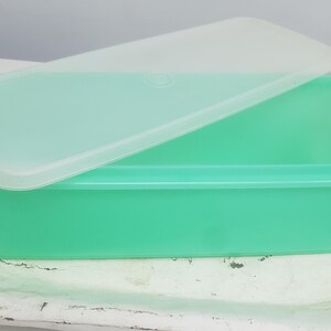 Large Tupperware Celery Container