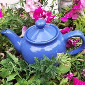 May include: A blue ceramic teapot with a lid, sitting in a bed of green leaves and pink flowers.