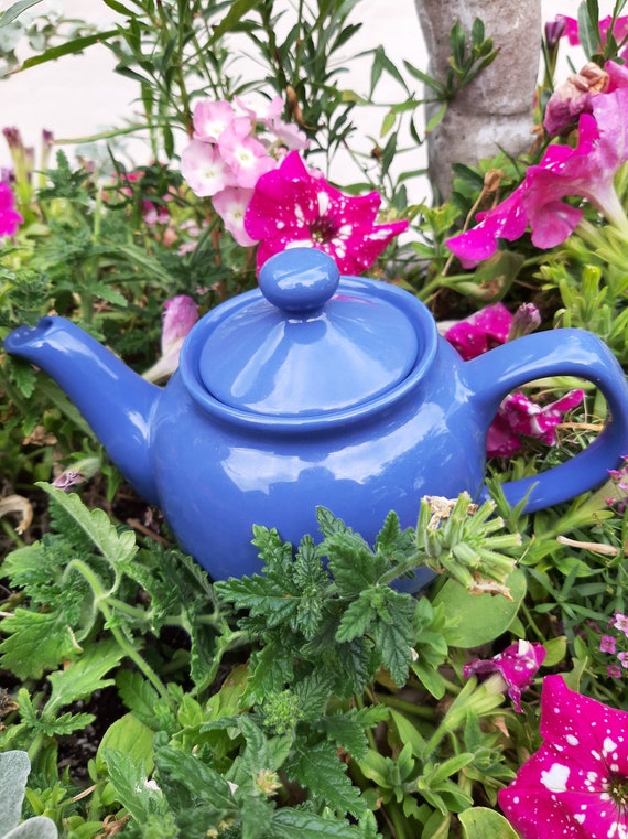 Tea Pot  OLD AMSTERDAM Blue 2 Cup