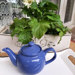 May include: A blue ceramic teapot with a white tray and a white planter with green plants and white flowers.
