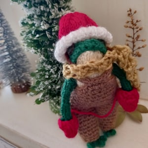 Christmas gift for friend, frog Santa doll, knitted animal toad, poseable froggo and Santa outfit, Christmas decoration ornament