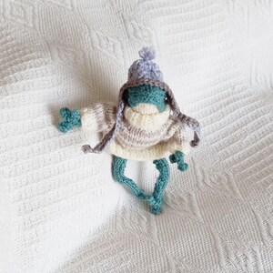 Frog with sweater and hat Froggo friend gift handmade doll poseable Froggy knitted small figurine posing character Froggie with tiny outfit
