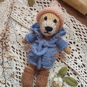 Gestrickte Bären Puppe: Handgemachte Wolle Kinderzimmer Dekor, Abnehmbare Outfit