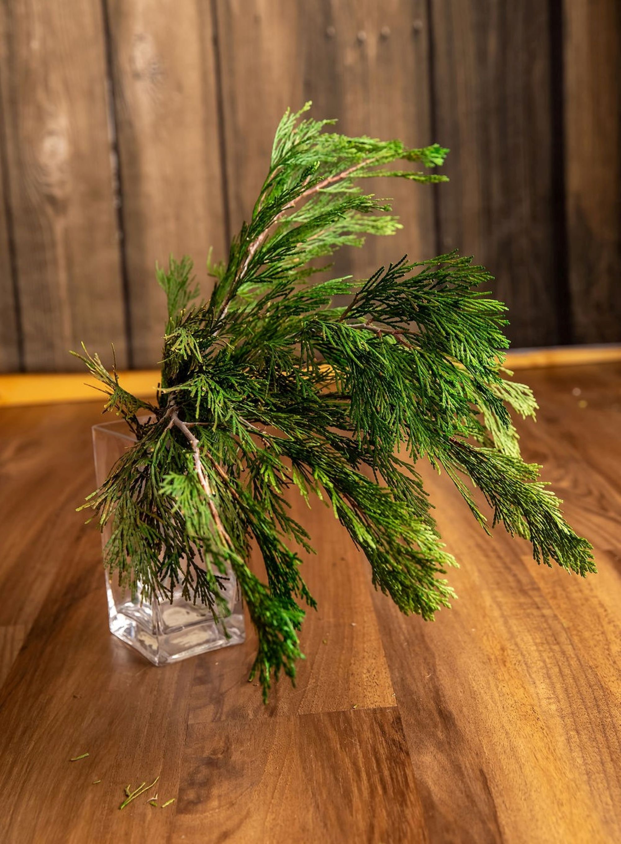 Fresh Cedar Branches Preserved Cedar Preserved Greenery Etsy