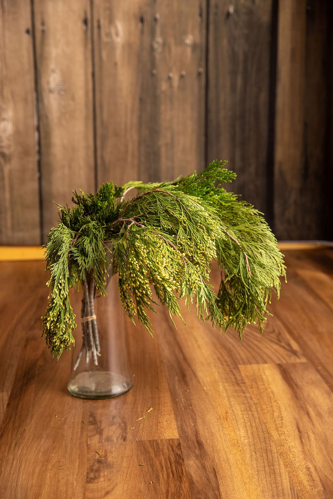 Fresh Cedar Branches Preserved Cedar Preserved Greenery Etsy