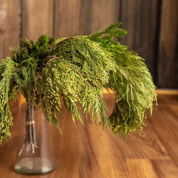 Preserved Greenery Etsy