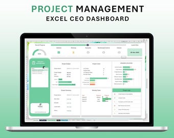 Excel Project Management Dashboard: CEO Status Report (Digital Download)