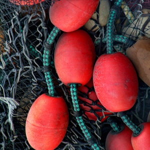 Rete da pesca con galleggianti rossi, Port o' Call Village, San Pedro, CA, Fotografia, tela, Stampa, Festa del papà, Soggiorno, Den