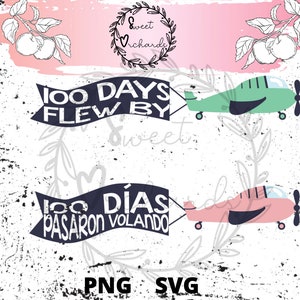 May include: Two banners with airplane graphics. The top banner is blue and says "100 Days Flew By". The bottom banner is dark blue and says "100 Dias Passaron Volando".