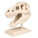 The T-Rex Skull.STL File for 3D Printing Digital Download. | Etsy