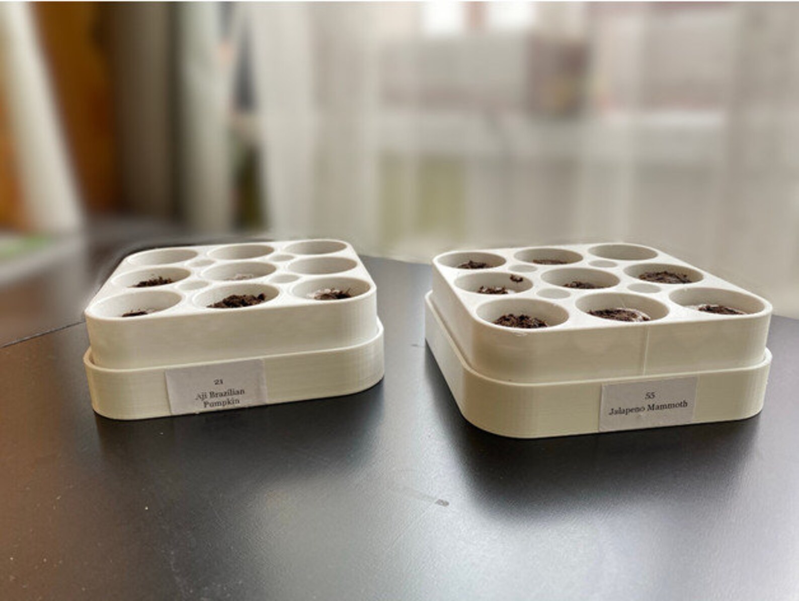 Jiffy Seedling Planter. STL File for 3D Printing Digital Etsy