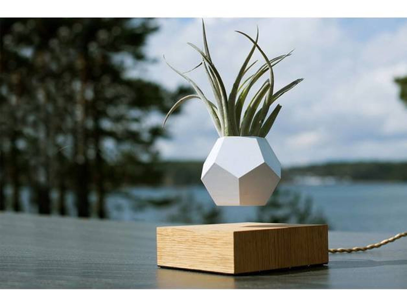 Levitating Planter. STL File for 3D Printing Digital Etsy
