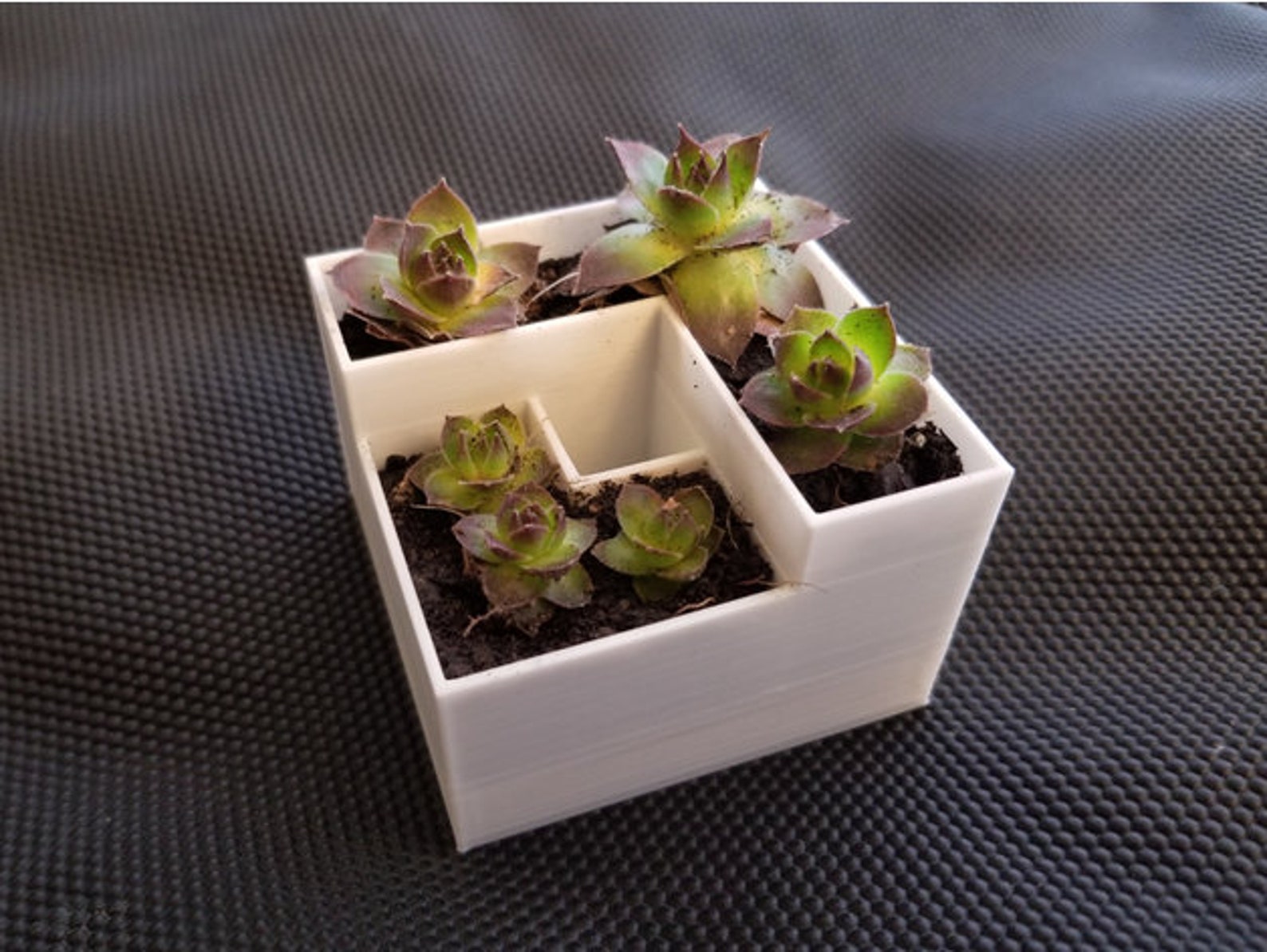 Self Watering Planter. STL File for 3D Printing Digital Etsy UK