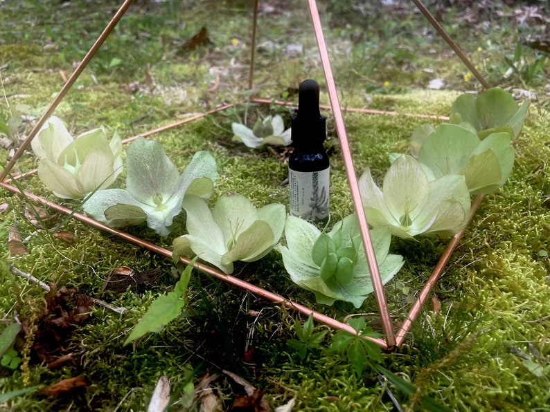 Op de afbeelding: Een klein, donker glazen flesje met een druppelaar zit in een piramide van koperdraad. De piramide is omringd door vijf witte bloemblaadjes op een bed van groen mos.