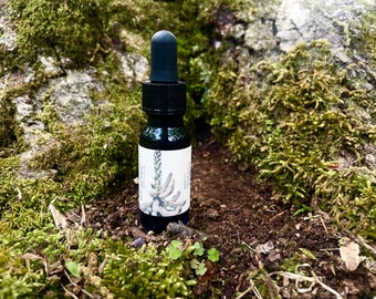 Op de afbeelding: Een kleine, donkerblauwe glazen fles met een zwarte druppelkap. De fles heeft een wit etiket met botanische illustraties. De fles staat tegen een achtergrond van mos en een boomstam, wat een natuurlijke uitstraling creëert.
