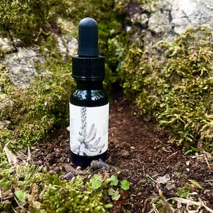 Intuitive Strength Elixir || Meadowsweet Consciousness  || Elixir of Pure Consciousness