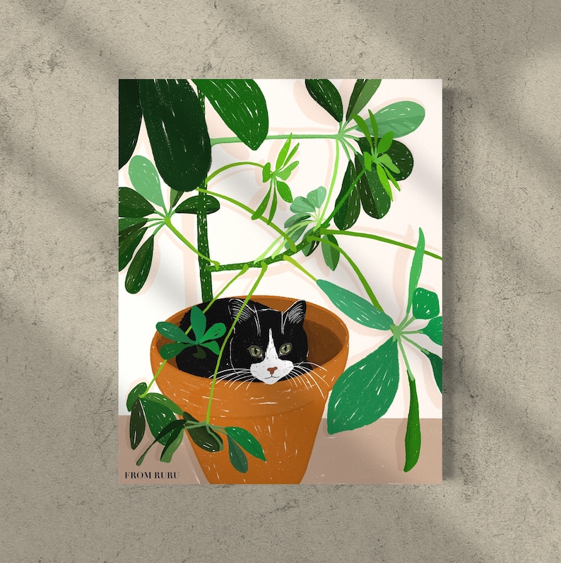 Pu&ograve; includere: Un gatto bianco e nero con zampe bianche e una macchia bianca sul petto &egrave; rannicchiato in un vaso di terracotta pieno di piante verdi. Il gatto guarda direttamente lo spettatore. Il vaso &egrave; circondato da foglie verdi lussureggianti.