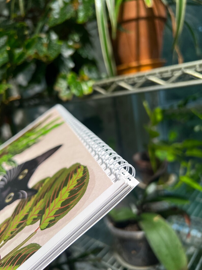 2025 Cat Wall Calendar, Cat Calendar, 8.5x11 Hanging Calendar, Original