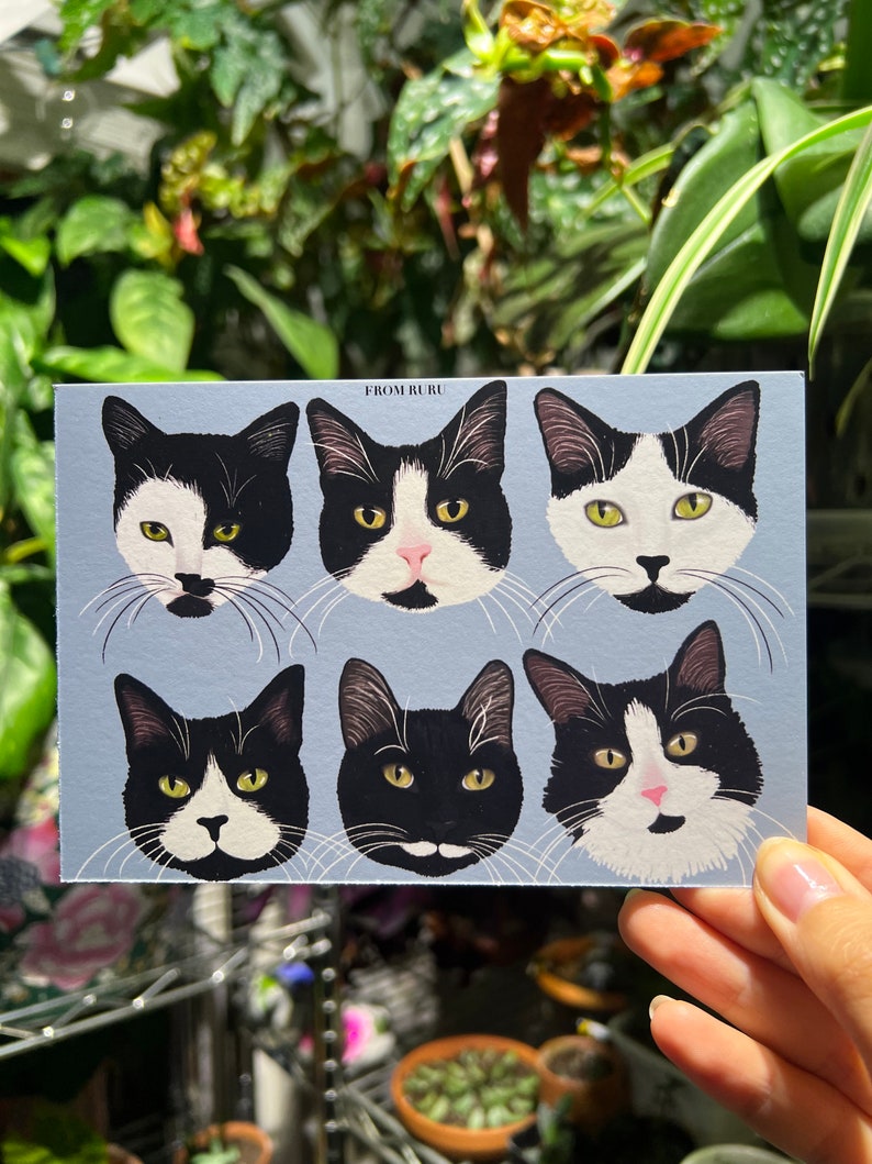 Tuxedo Cat Art, Tuxedo Cat Lover Gift, White and Black Cat, Cat Print ...