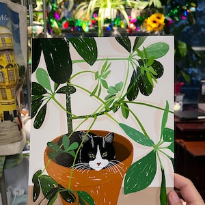 Pu&ograve; includere: Un gatto bianco e nero con occhi verdi si nasconde in un vaso di terracotta pieno di piante verdi a foglia. Il vaso &egrave; su una superficie marrone chiaro. Il testo "FROM RURU" &egrave; in basso nell'immagine.