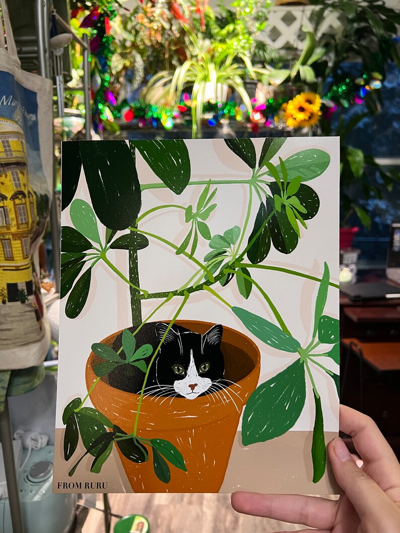 Pu&ograve; includere: Un gatto bianco e nero con occhi verdi si nasconde in un vaso di terracotta pieno di piante verdi a foglia. Il vaso &egrave; su una superficie marrone chiaro. Il testo "FROM RURU" &egrave; in basso nell'immagine.
