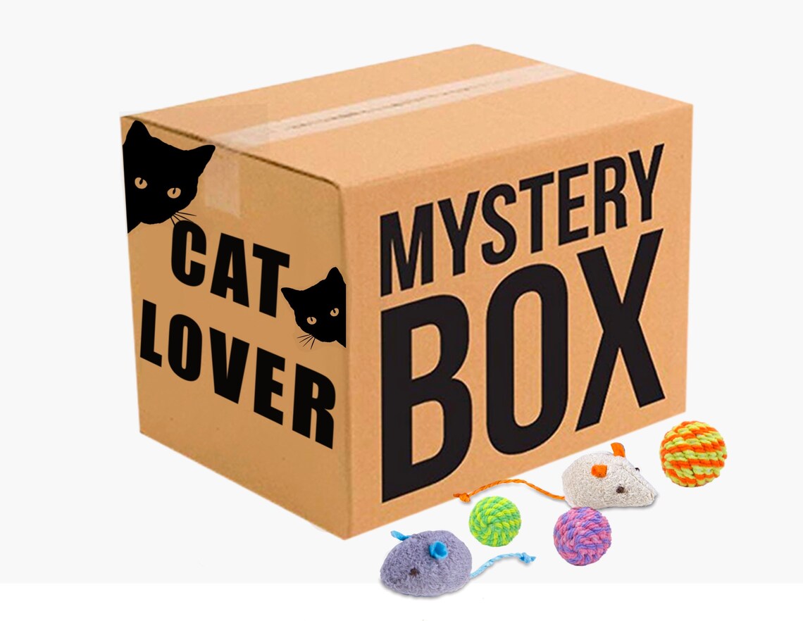 CAT GIFT BOX Medium Cat Lovers Gift Cat Mystery Box Cat Etsy