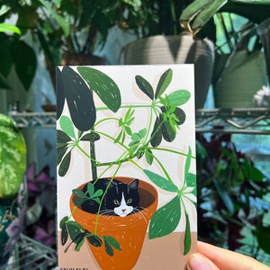 Pu&ograve; includere: Un gatto bianco e nero con occhi gialli si nasconde in un vaso di terracotta pieno di piante verdi a foglia. Il vaso &egrave; su una superficie marrone chiaro. Il testo "FROM RURU" &egrave; in basso nell'immagine.