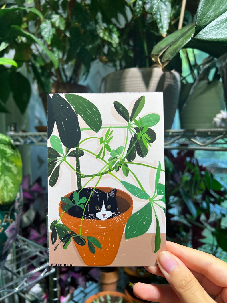 Pu&ograve; includere: Un gatto bianco e nero con occhi gialli si nasconde in un vaso di terracotta pieno di piante verdi a foglia. Il vaso &egrave; su una superficie marrone chiaro. Il testo "FROM RURU" &egrave; in basso nell'immagine.