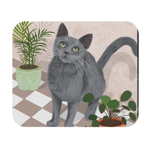 May include: A grey cat with green eyes sits on a chequered floor with two potted plants. The cat is looking to the left of the image. The plants are in green and orange pots.