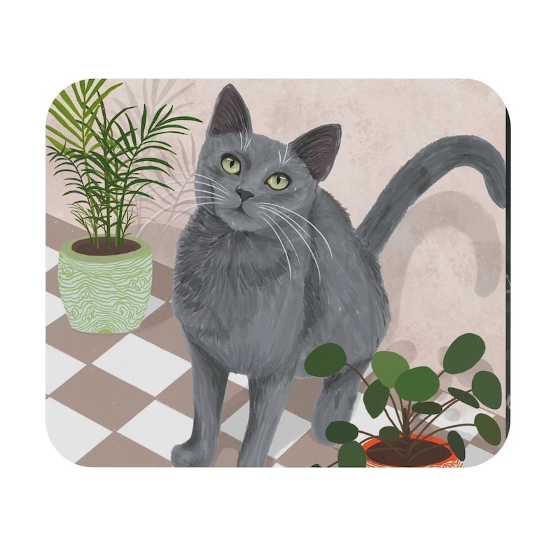 May include: A grey cat with green eyes sits on a chequered floor with two potted plants. The cat is looking to the left of the image. The plants are in green and orange pots.