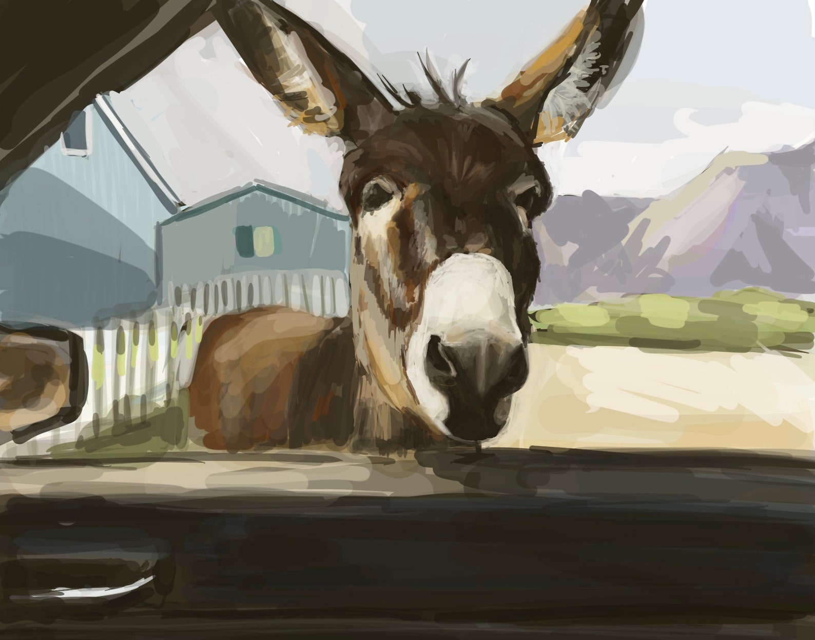 Mule Limited Edition Print Etsy