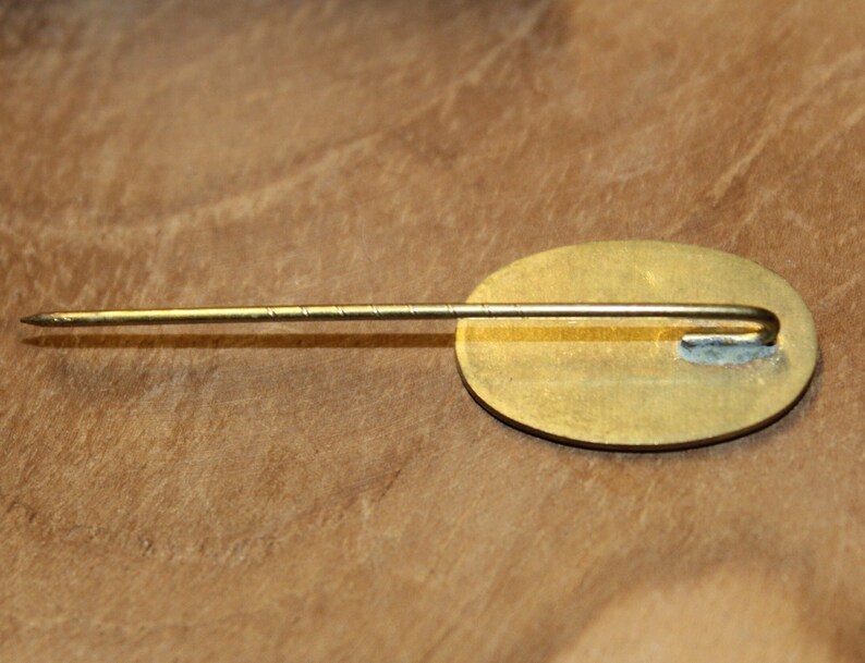 May include: The back of a gold oval-shaped pin with a pin back. The pin is on a wooden surface.