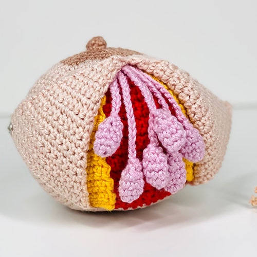 Anatomical Breast Model Breastfeeding Model for Midwife Etsy