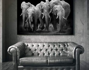 Wandbild  Leinwandbild Kunstdruck 11578_PS4A-1 Canvas Picture Print Elefanten 