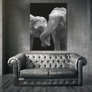 Leinwandbild elefant