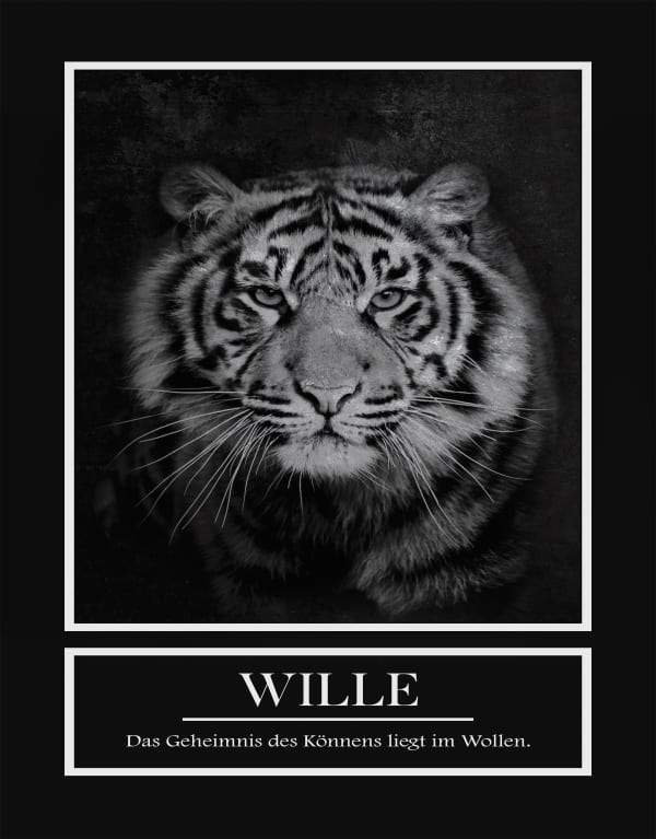Motivationsbild Leinwand Tiger Sprüche und Zitate Büro Deko S XXL Home