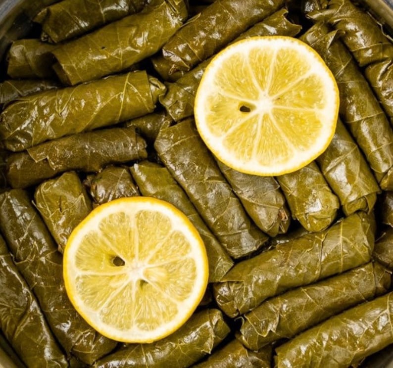 May include: A close-up of a plate of grape leaves stuffed with rice and herbs, topped with two lemon slices.