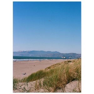 May include: A scenic beach landscape under a clear blue sky. The image features a sandy beach, ocean, and distant mountains. Tall, dry grasses are in the foreground. People are scattered along the beach.