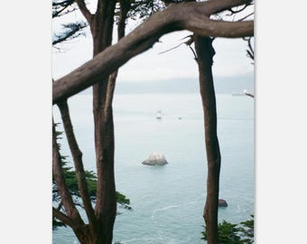 Lands End Cypress Trees | 35mm Film Photography Print, San Francisco Coastal Wall Art