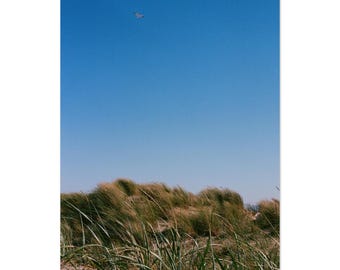 Ocean Beach Sunset Dunes Print | San Francisco Coastal Photography, 35mm Film Wall Art Print