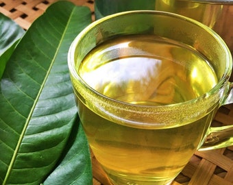 Mango Leaf Tea – Dried Herbal Leaves | Shade-Dried, Natural Aroma | Indonesia
