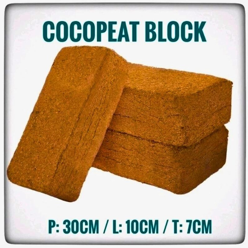 Puede incluir: Tres bloques rectangulares de fibra de coco, apilados y apoyados unos contra otros. Los bloques son de color marr&oacute;n claro. El texto "COCOPEAT BLOCK" est&aacute; en la parte superior. Dimensiones: P: 30 cm, L: 10 cm, T: 7 cm.