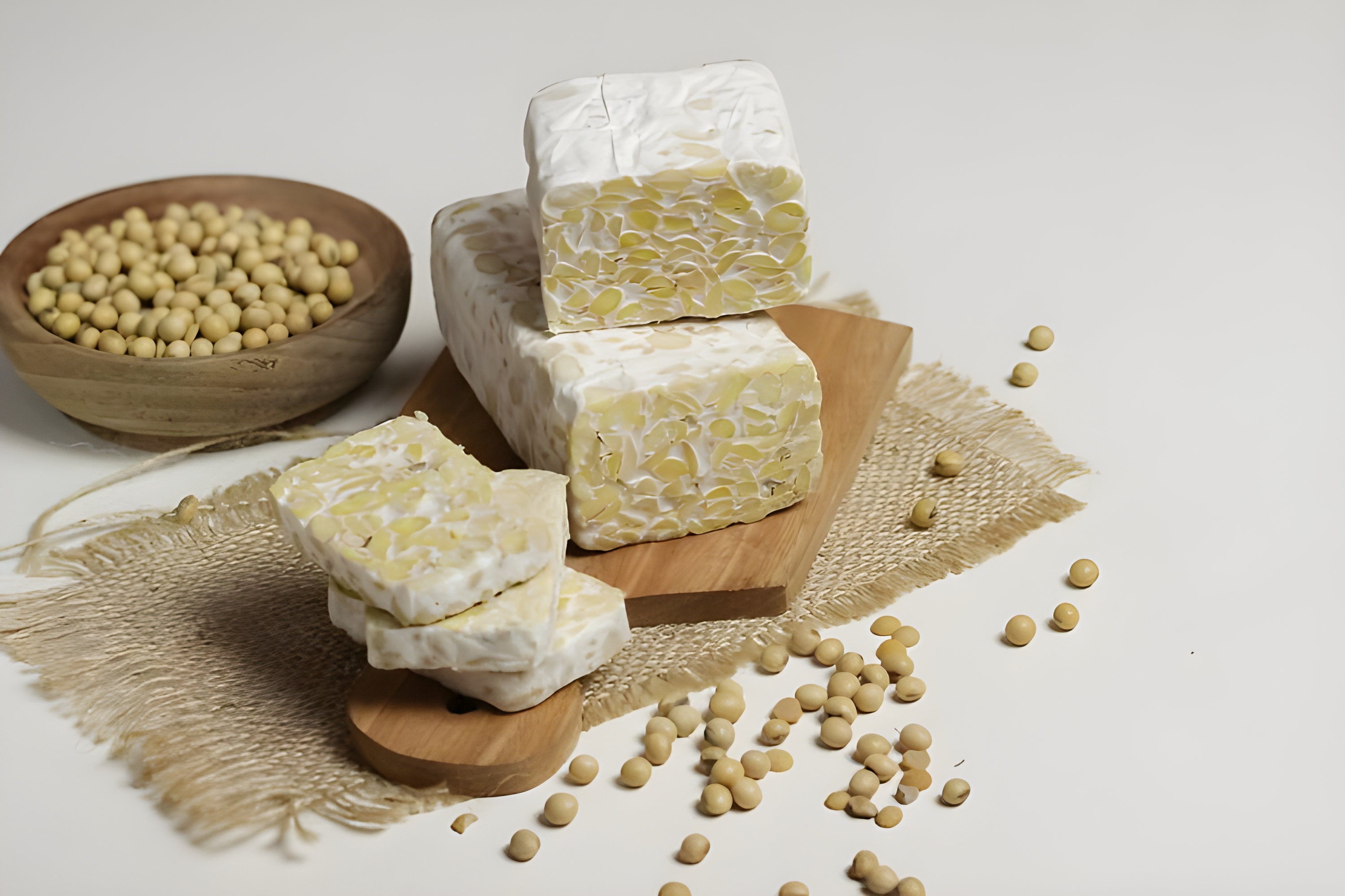 Organic Tempeh Starter Kit Homemade Tempeh Instructions, Starter